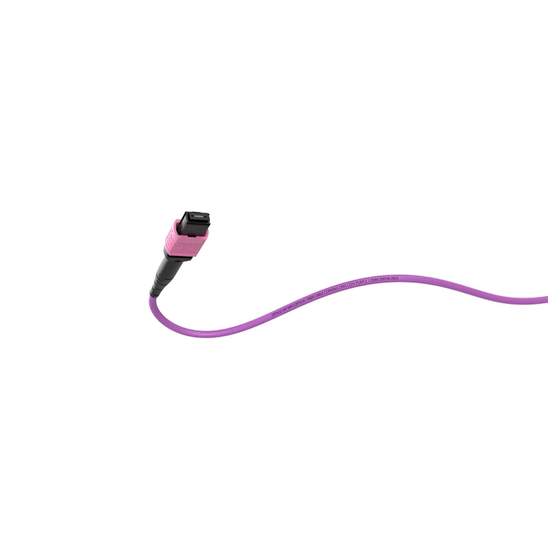 MPO MTP Cabling System MPO MTP Cabling System